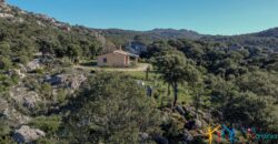 Country House for Sale in Gallura ref.Tracchetta