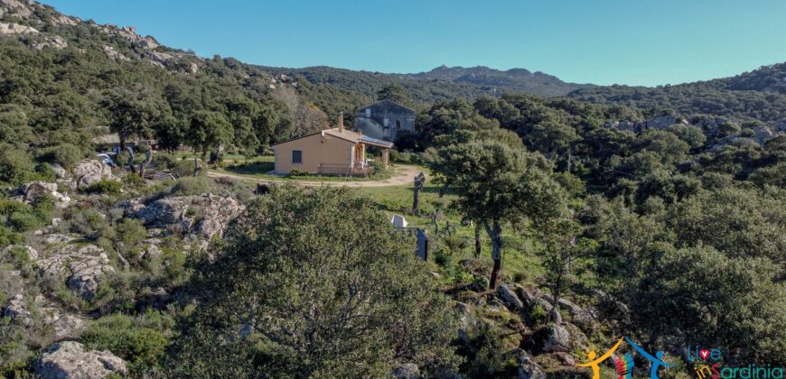 Country House for Sale in Gallura ref.Tracchetta