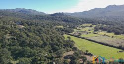 Country House for Sale in Gallura ref.Tracchetta