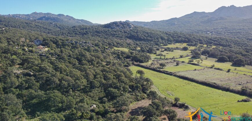 Country House for Sale in Gallura ref.Tracchetta