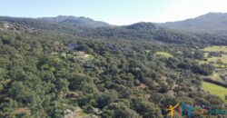 Country House for Sale in Gallura ref.Tracchetta