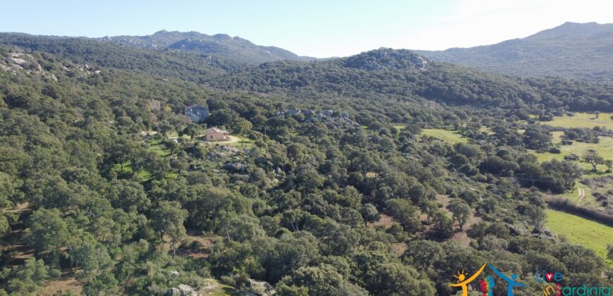 Country House for Sale in Gallura ref.Tracchetta