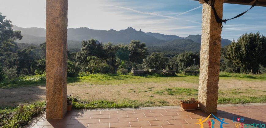 Country House for Sale in Gallura ref.Tracchetta