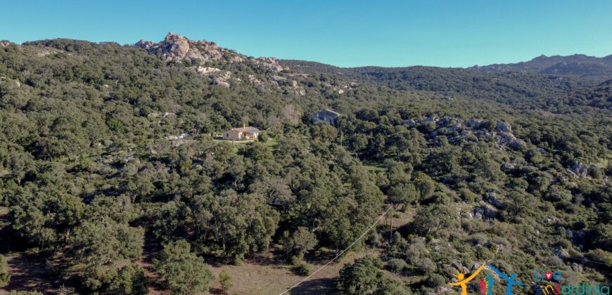 Country House for Sale in Gallura ref.Tracchetta