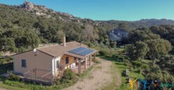 Country House for Sale in Gallura ref.Tracchetta