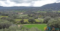 Independent Country House in Olbia Ref. Spiegana