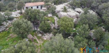 Independent Country House in Olbia Ref. Spiegana